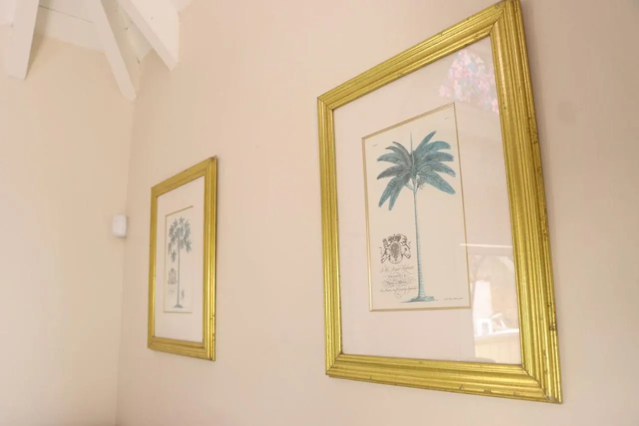 Apartment Northside Studio Vacation Rental Nazareth United States Virgin Islands