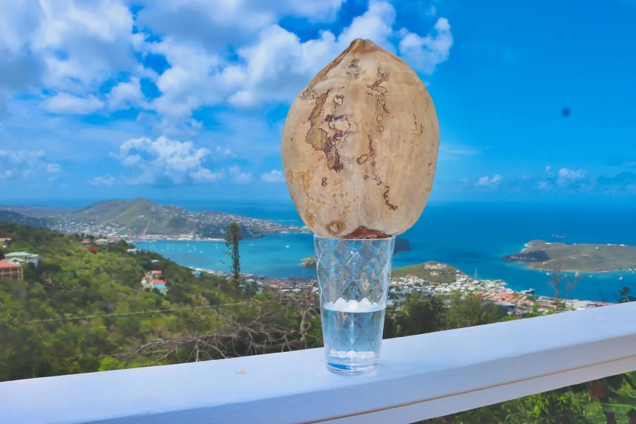 Northside Studio Vacation Rental Nazareth Διαμέρισμα